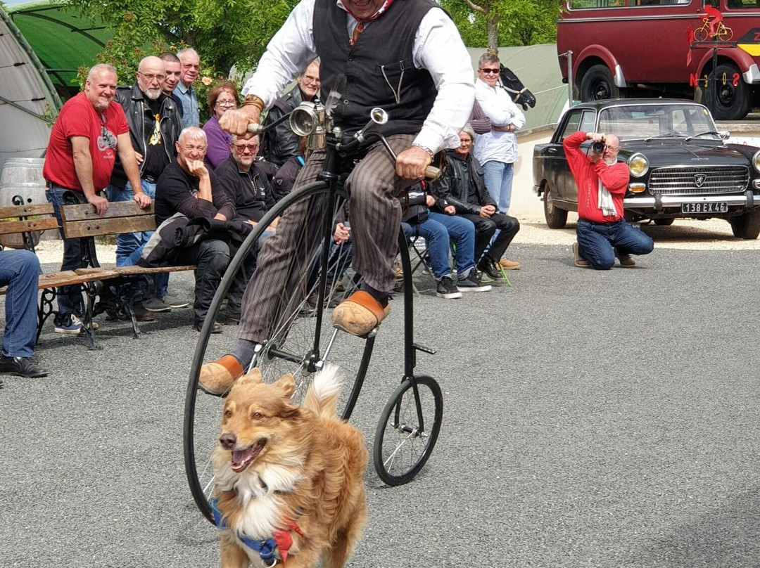 Musée du Patrimoine Agricole et Automobile de Salviac-Salviac必去景点