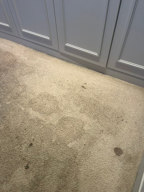 克法拉利套房酒店-官方