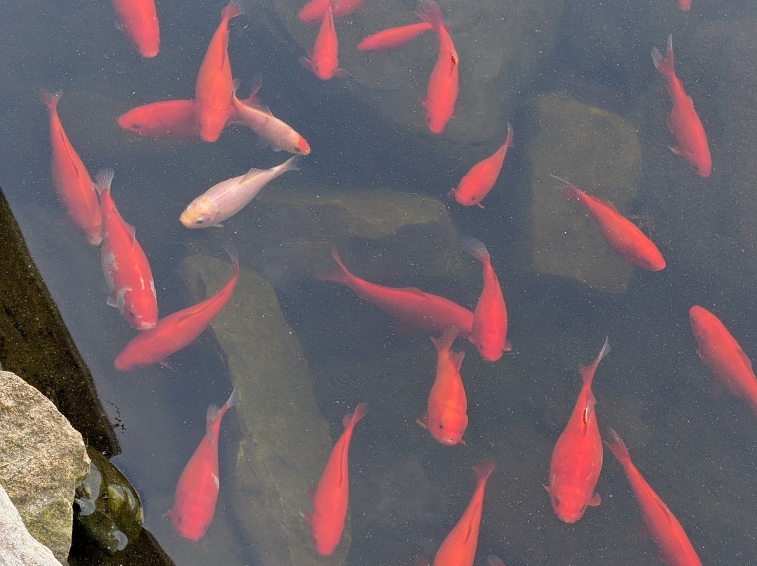 布恩 - 大学区凯艺套房酒店主图