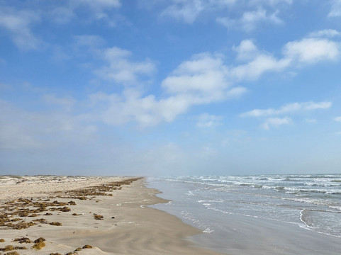 San Jose Island-阿兰瑟斯港必去景点