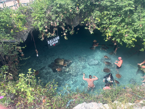 Salaam Cave Aquarium