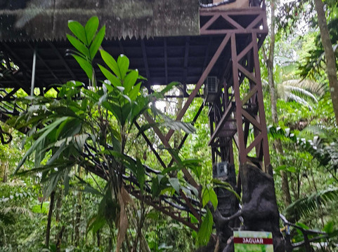 马肯克旅馆主图