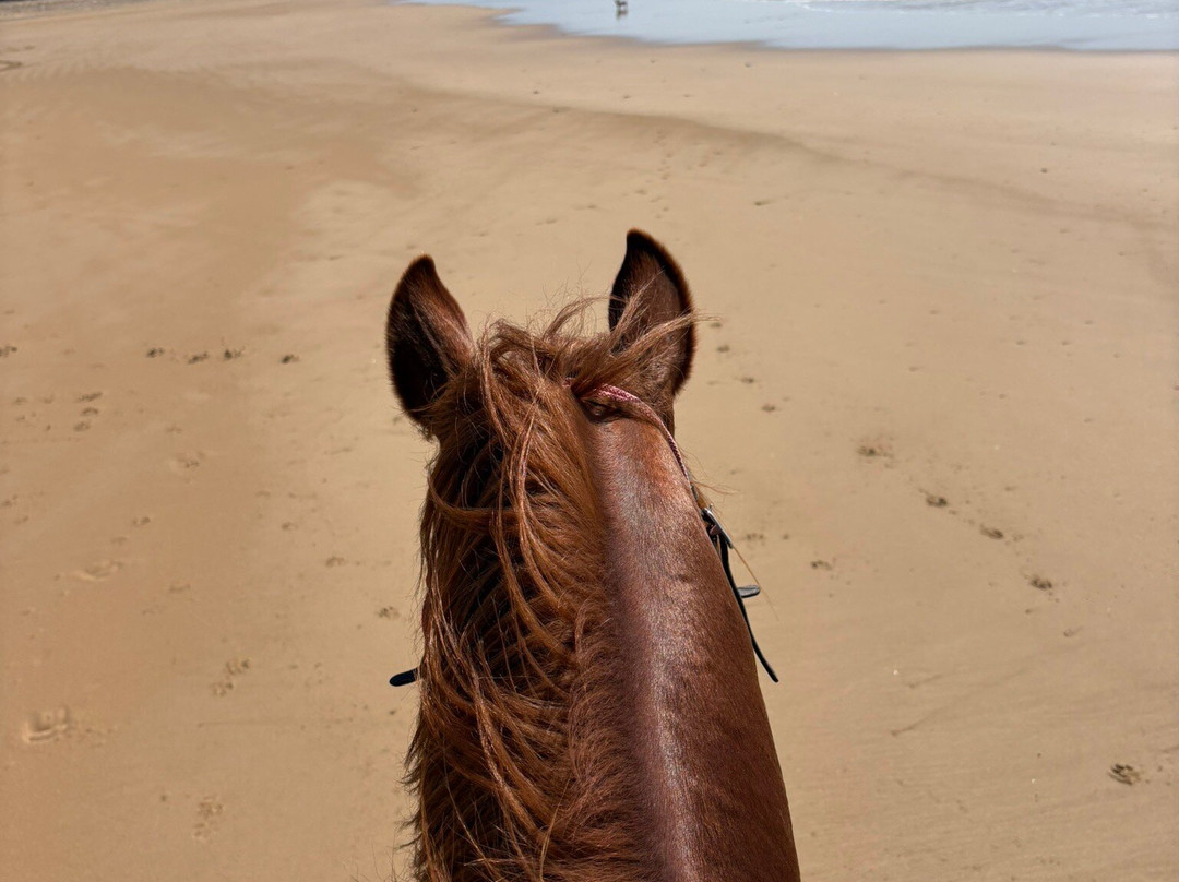 Cheval Essaouira-索维拉必去景点