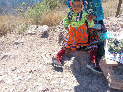 Experience Mex-ECO Tours-Melaque必去景点