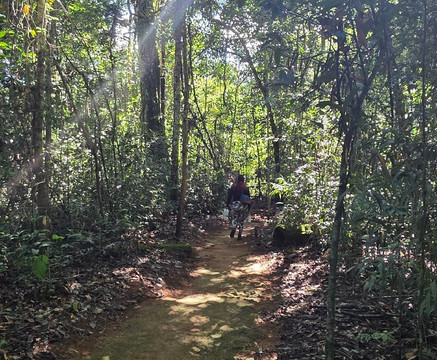 Floresta Nacional dos Carajas-Parauapebas必去景点