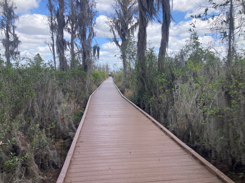 Okefenokee National Wildlife Refuge-Folkston必去景点