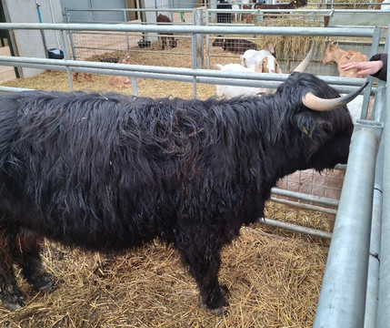 Monk Park Farm-Bagby必去景点