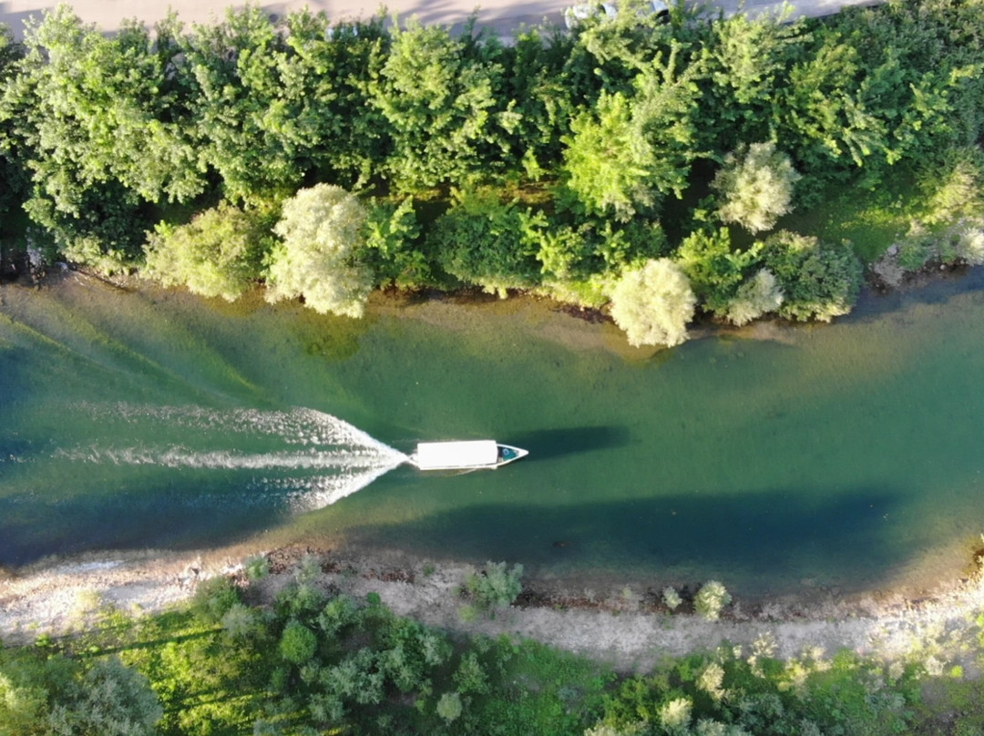 Skadar Lake - Boat Cruise Milena-维尔巴札拉必去景点