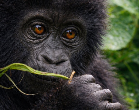 EverseenAfrica-霍德斯普鲁特必去景点