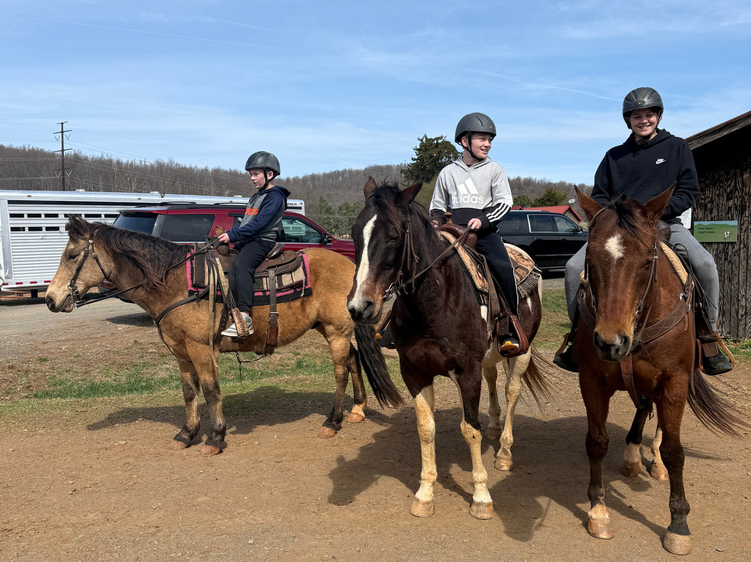 Oakland Heights Farm-Gordonsville必去景点