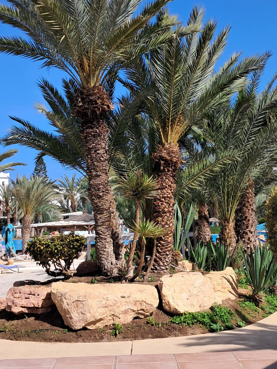 吉尔巴岛度假村-官方