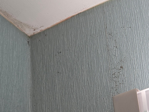 塔拉哈西州议会大厦希尔顿惠庭酒店主图