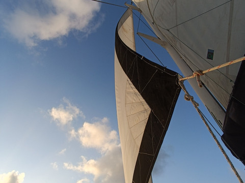 El Gitano del Mar-埃尔波韦尼尔必去景点