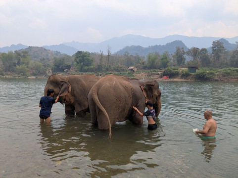 Elephant Village Sanctuary & Resort-琅勃拉邦必去景点