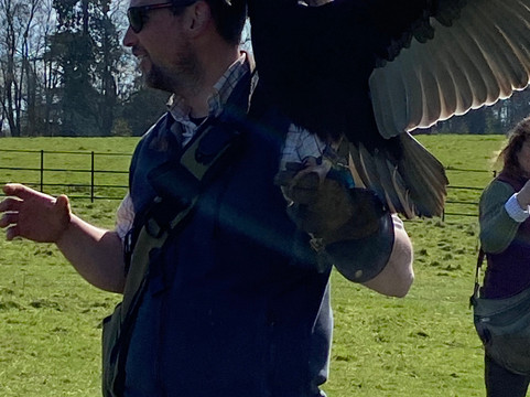 Kent Falconry Centre-Throwley必去景点