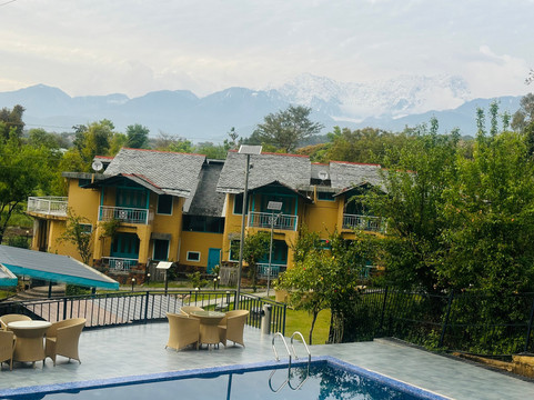 Tree of Life Birdsong Chalets主图