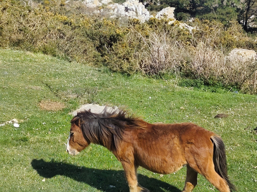 Pena Cabarga-桑坦德必去景点