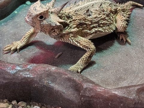 River Bend Nature Center-威奇托福尔斯必去景点