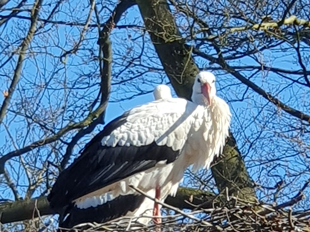 Heimat-Tierpark Olderdissen-比勒费尔德必去景点