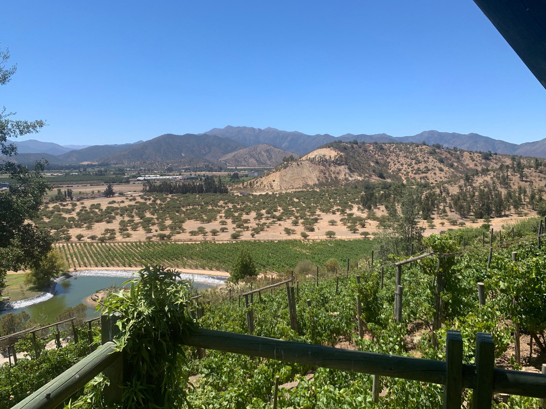 Indomita Casablanca and Maipo Vineyards-卡萨布兰卡必去景点