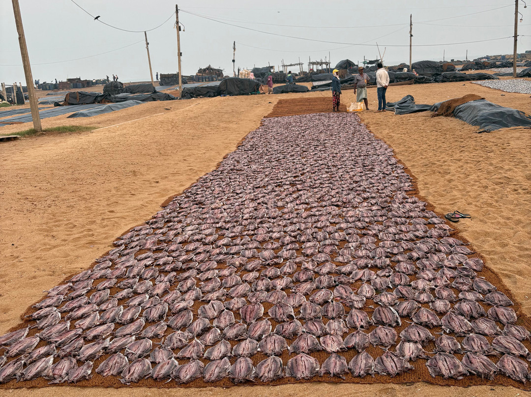 Journey To Lankatours-科伦坡必去景点