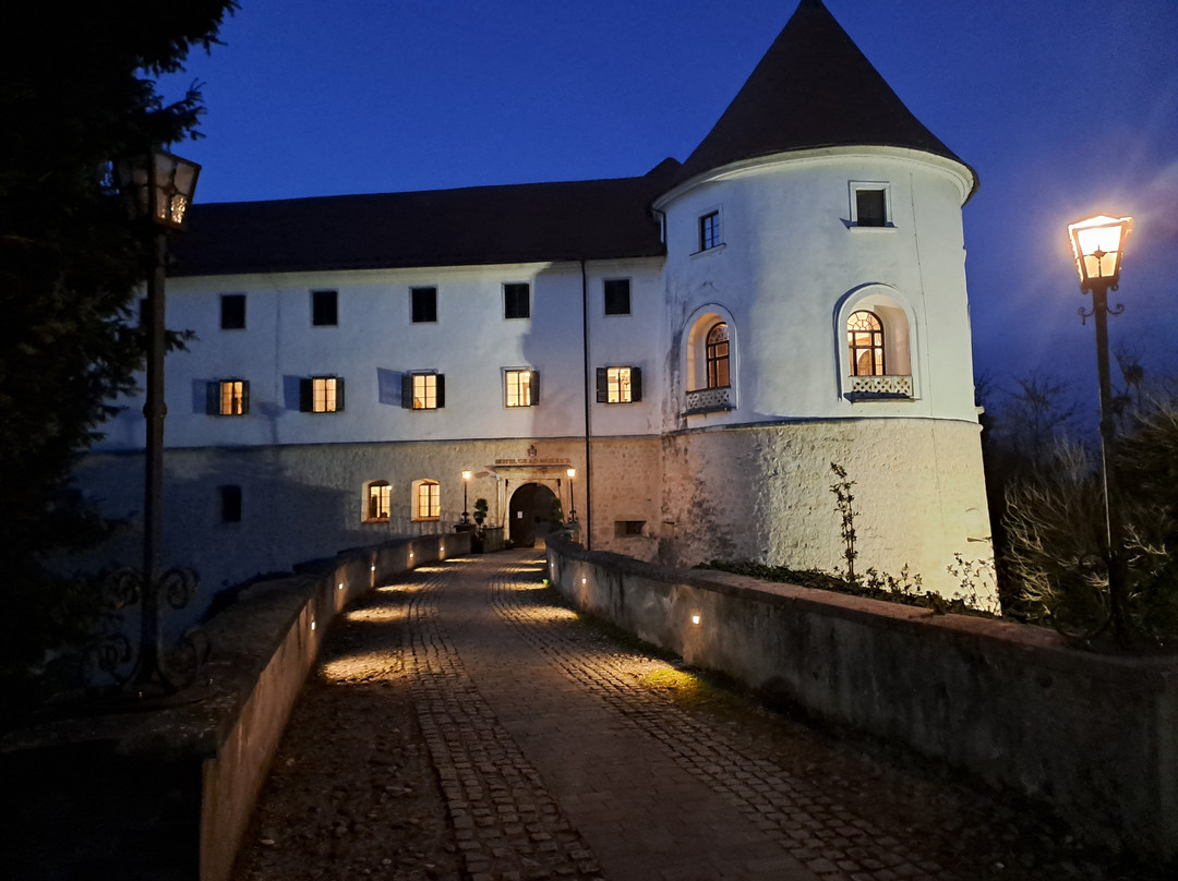 Hotel Golf Castle Mokrice主图