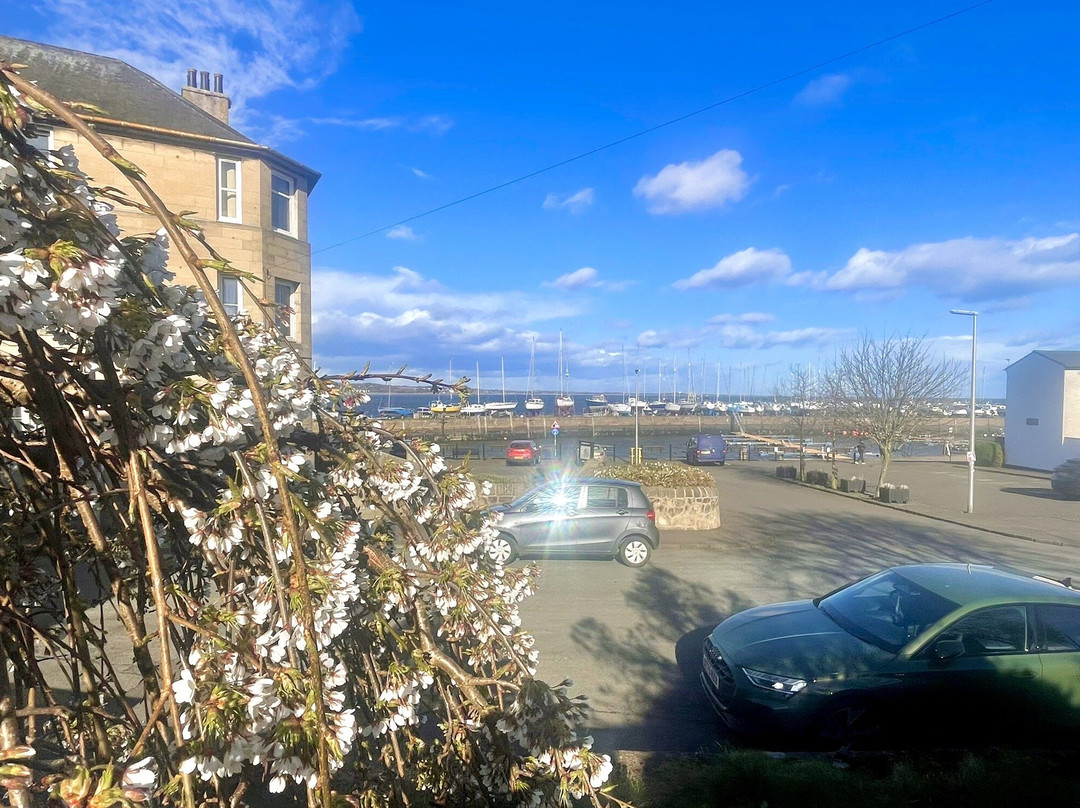 Tayport Harbour-Tayport必去景点