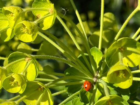 Pensthorpe-Fakenham必去景点