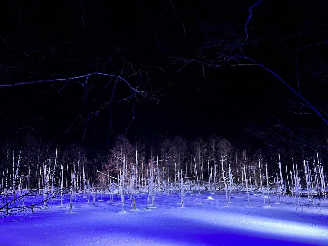 蓝池-美瑛町必去景点