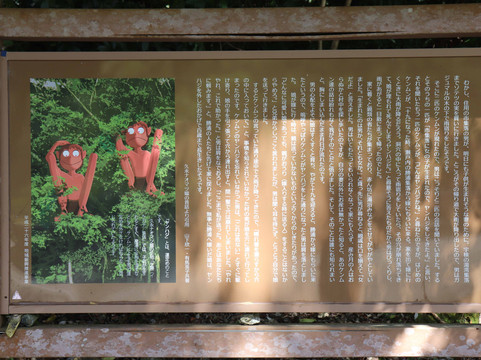 Arangachi's Banyan Tree-宇检村必去景点