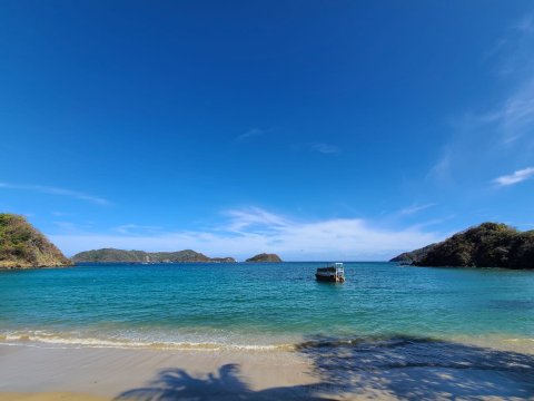 布鲁沃特斯酒店-泳池