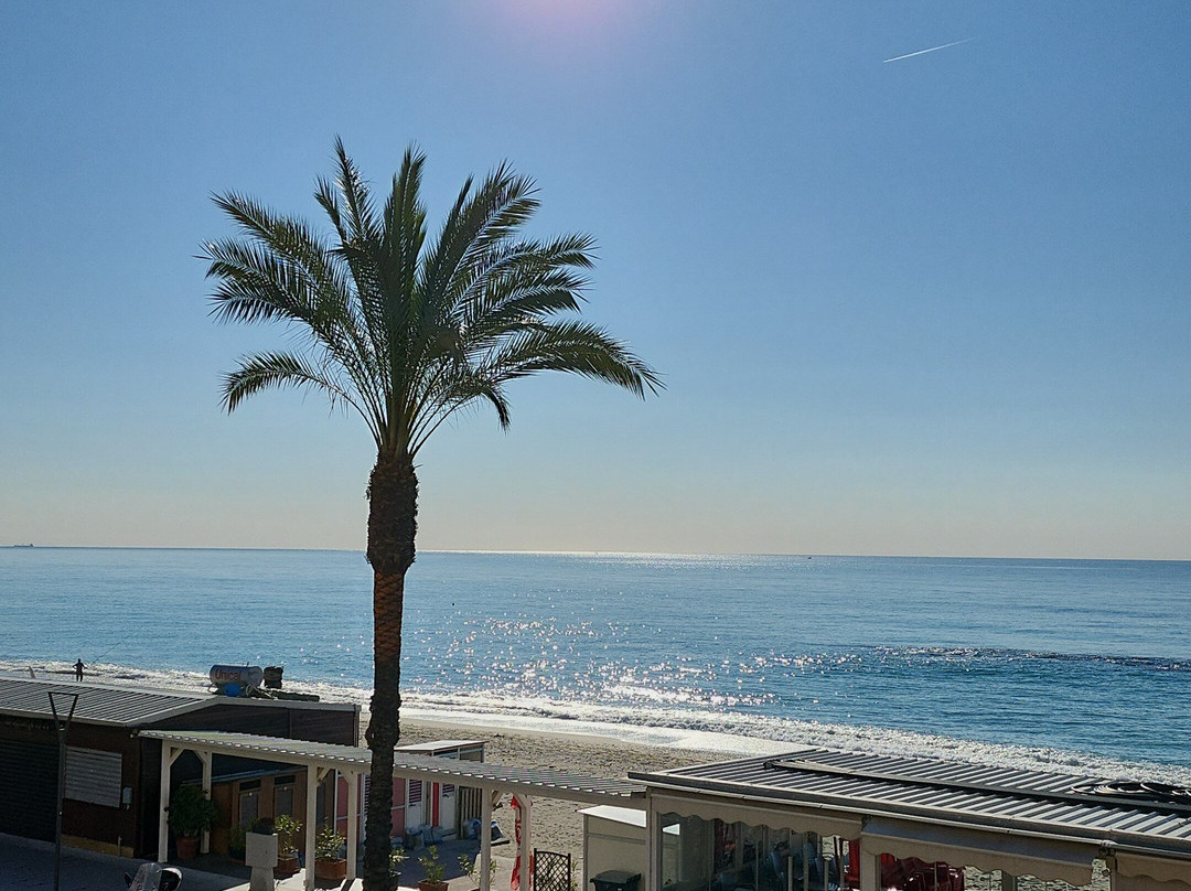 Hotel Villa Marina主图