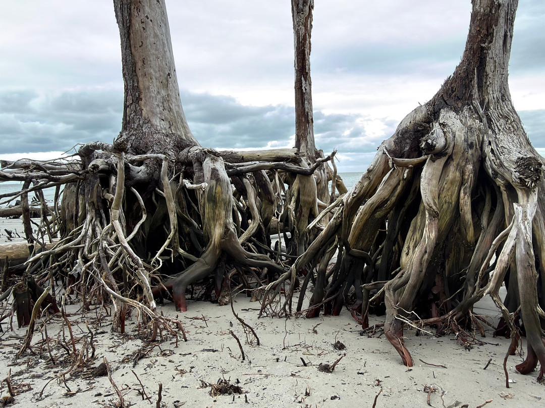 St. Phillips Island Ferry-Saint Helena Island必去景点