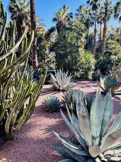 Musée Yves Saint Laurent Marrakech-马拉喀什必去景点