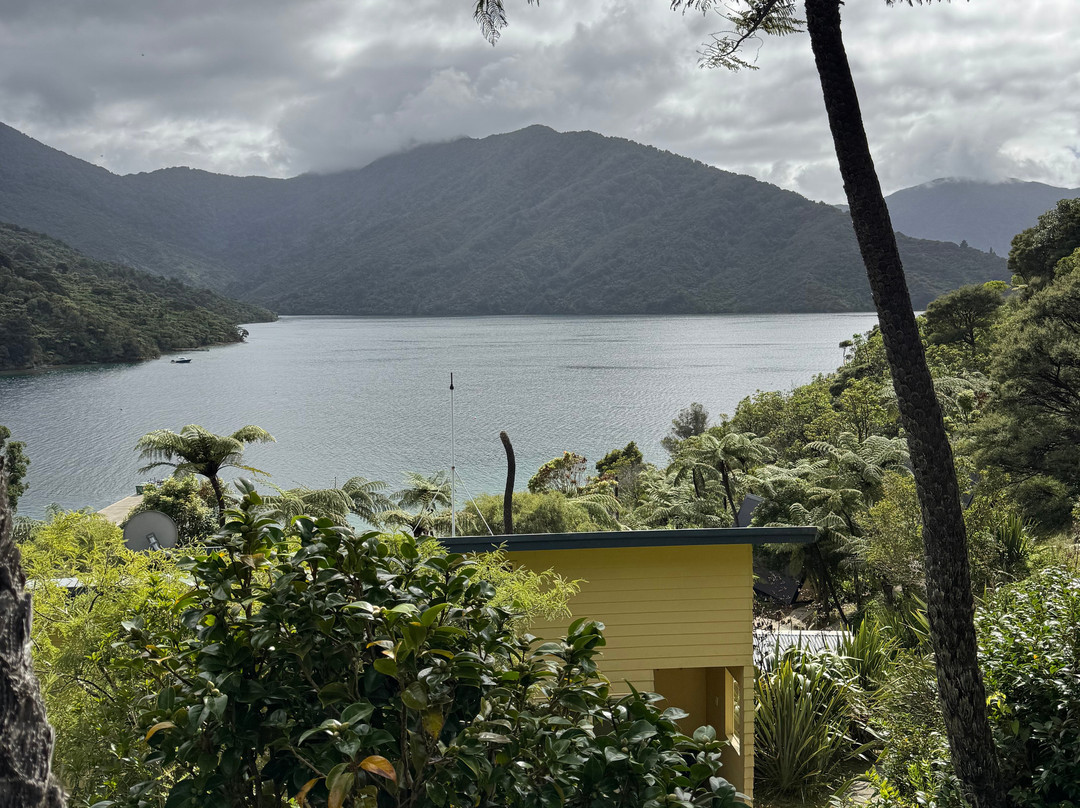 Beachcomber Cruises-皮克顿必去景点