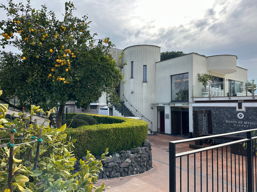 Bosco de Medici Winery-庞贝必去景点