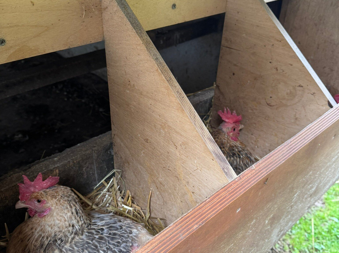 Karaiskos Farm-沃洛斯必去景点