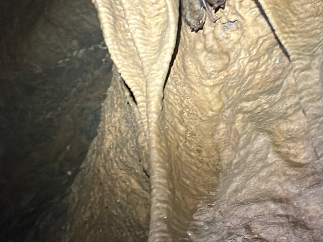 WILD GUYde Adventures-雪兰多国家公园必去景点