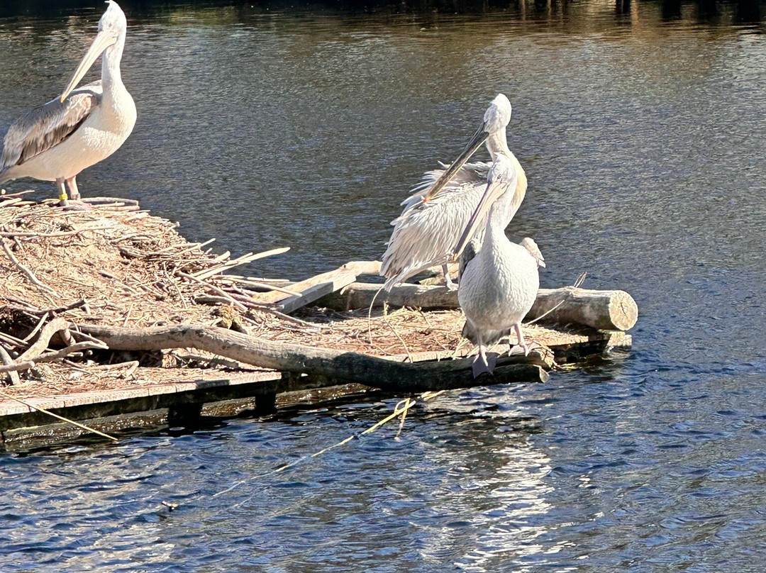 Vogelpark Avifauna-Alphen aan den Rijn必去景点