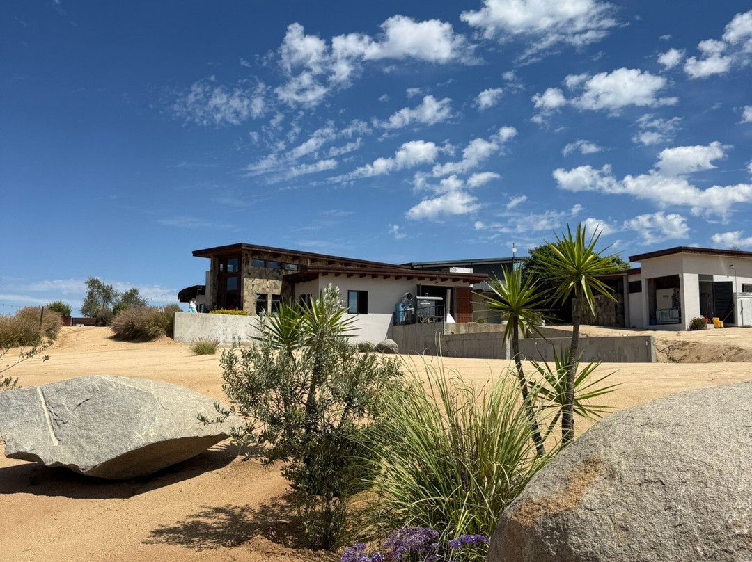 Baja California Wine Tours-圣地亚哥必去景点
