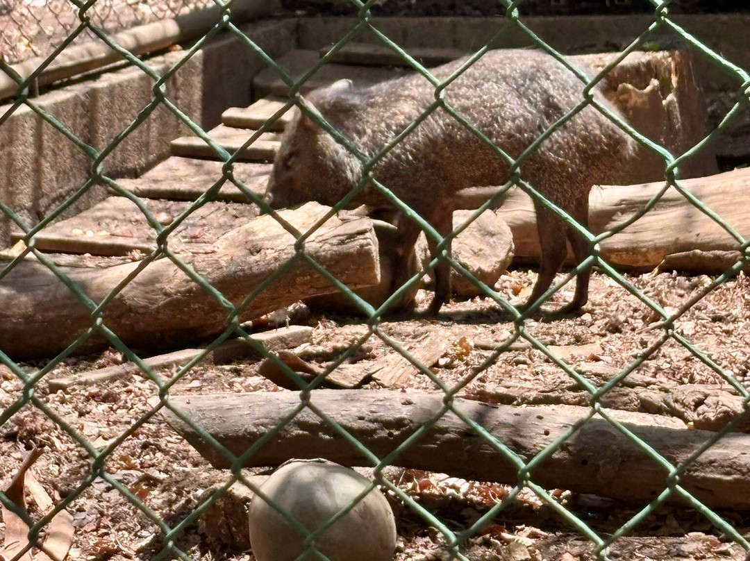 APAMI Wild Life-Portegolpe必去景点