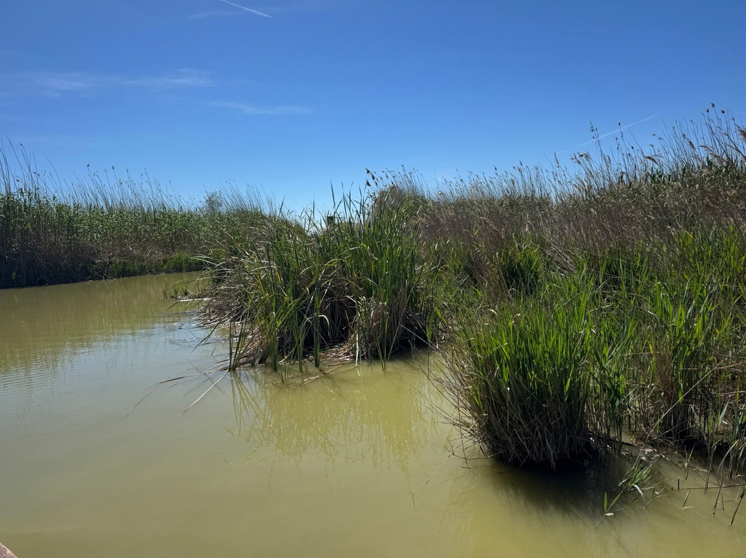 Embarcadero "El Tío Pastilla"-El Palmar必去景点