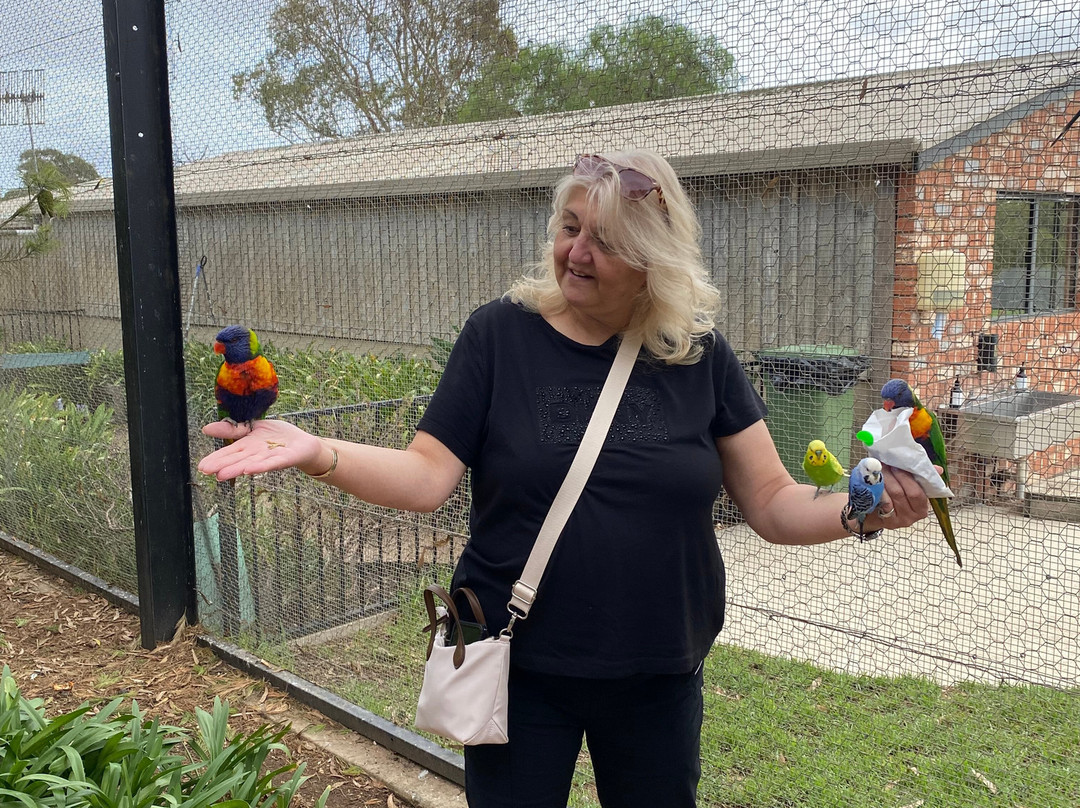 Glen-Forest Tourist Park & Vineyard-Port Lincoln必去景点