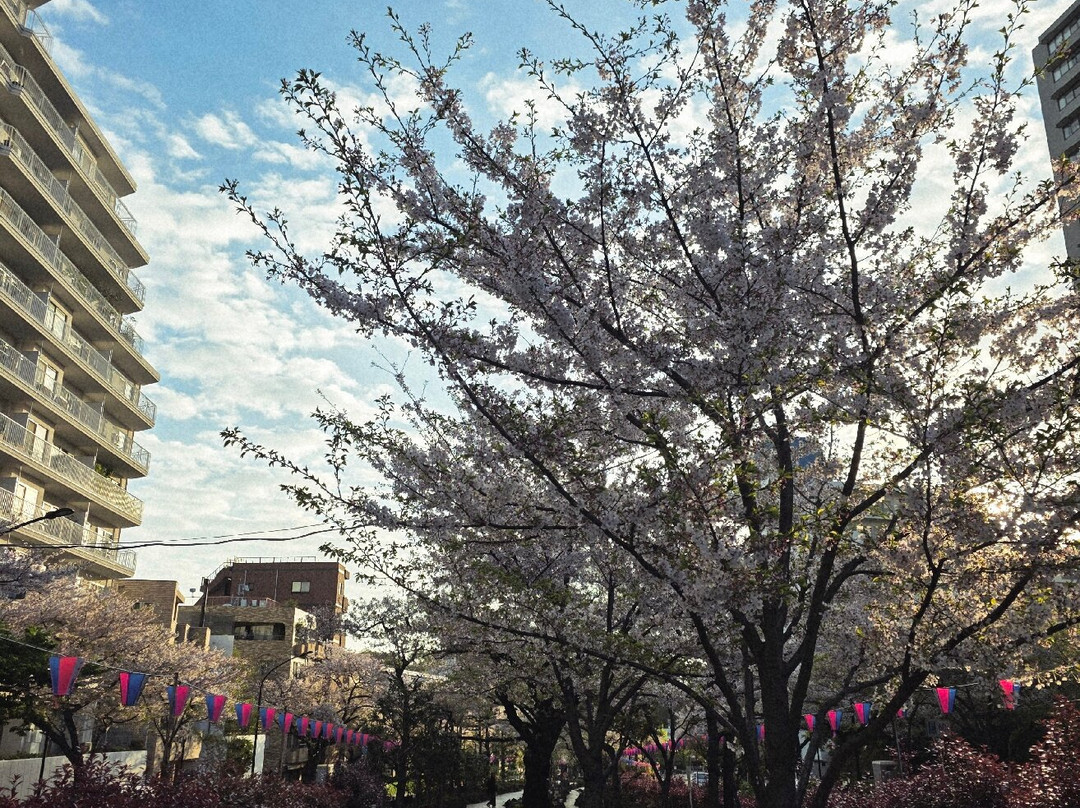 Harimazaka (Harima Slope)-文京区必去景点
