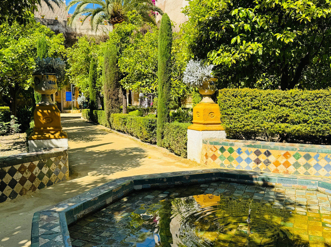 Palacio De Las Duenas-塞维利亚必去景点