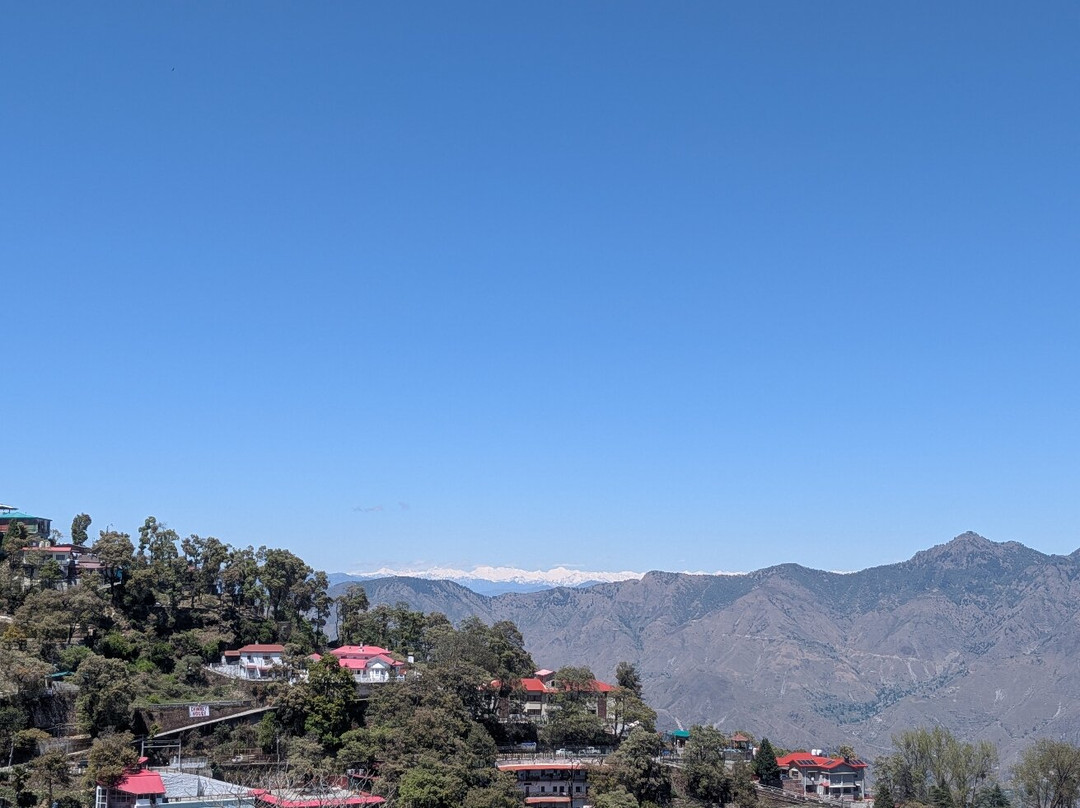 The Royal Afghan主图