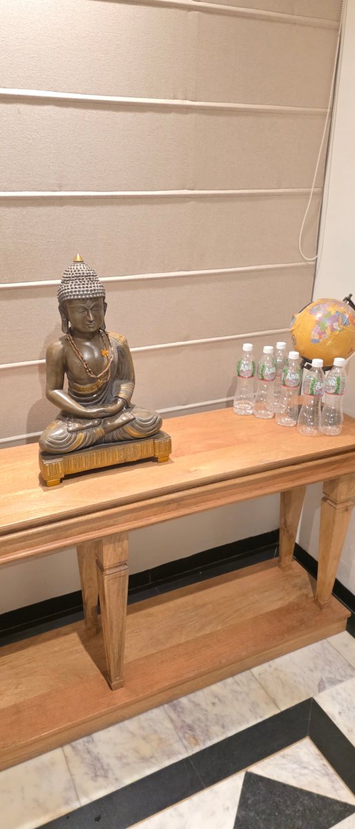 Surpura Bagh - A Luxury Boutique Resort-旅行者