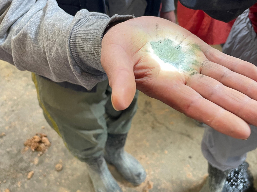 Big Deal Tours-波托西城必去景点