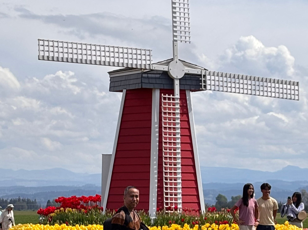 Wooden Shoe Tulip Farm-伍德本必去景点
