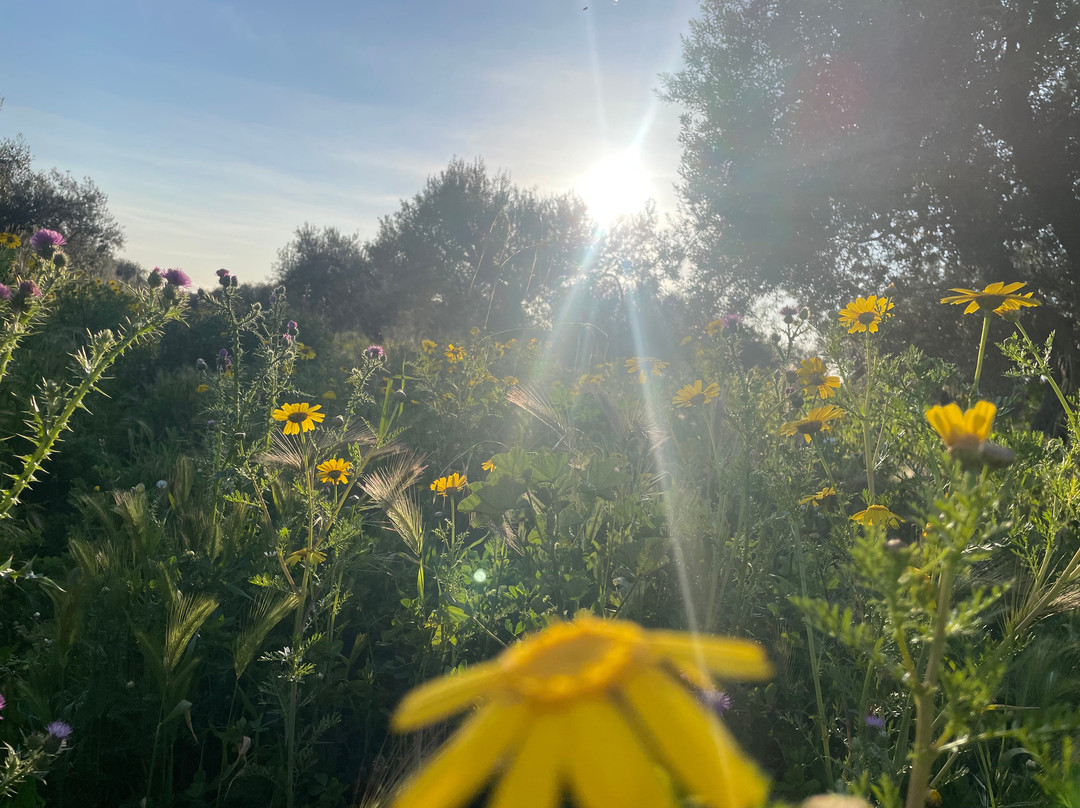 但丁之家酒店主图